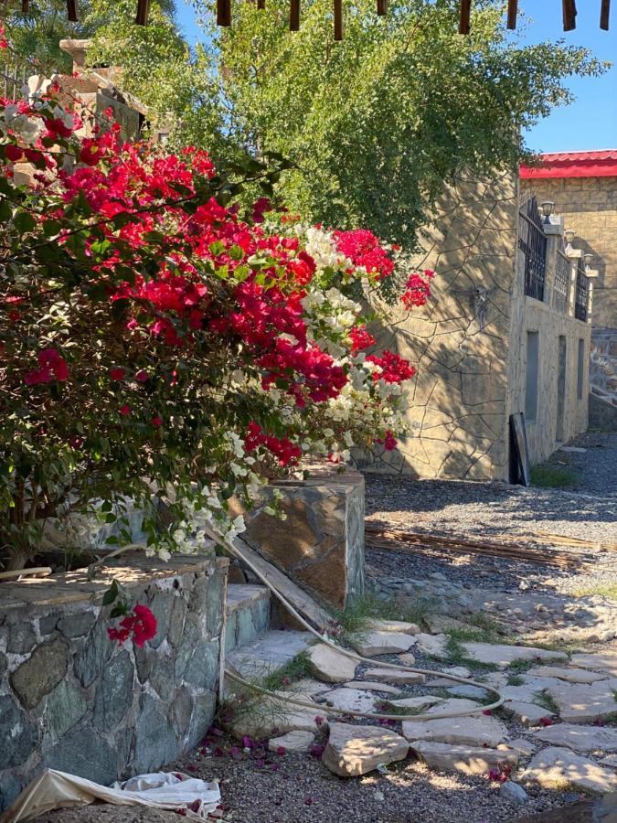 Uae Farm Villa Qur ภายนอก รูปภาพ