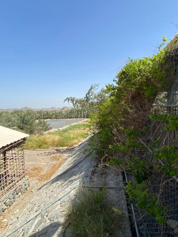 Uae Farm Villa Qur ภายนอก รูปภาพ